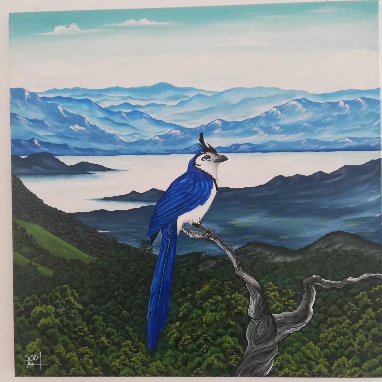 Vila Casa Urraca, Magnifica Vista Al Oceano Pacifico Monteverde Exteriér fotografie