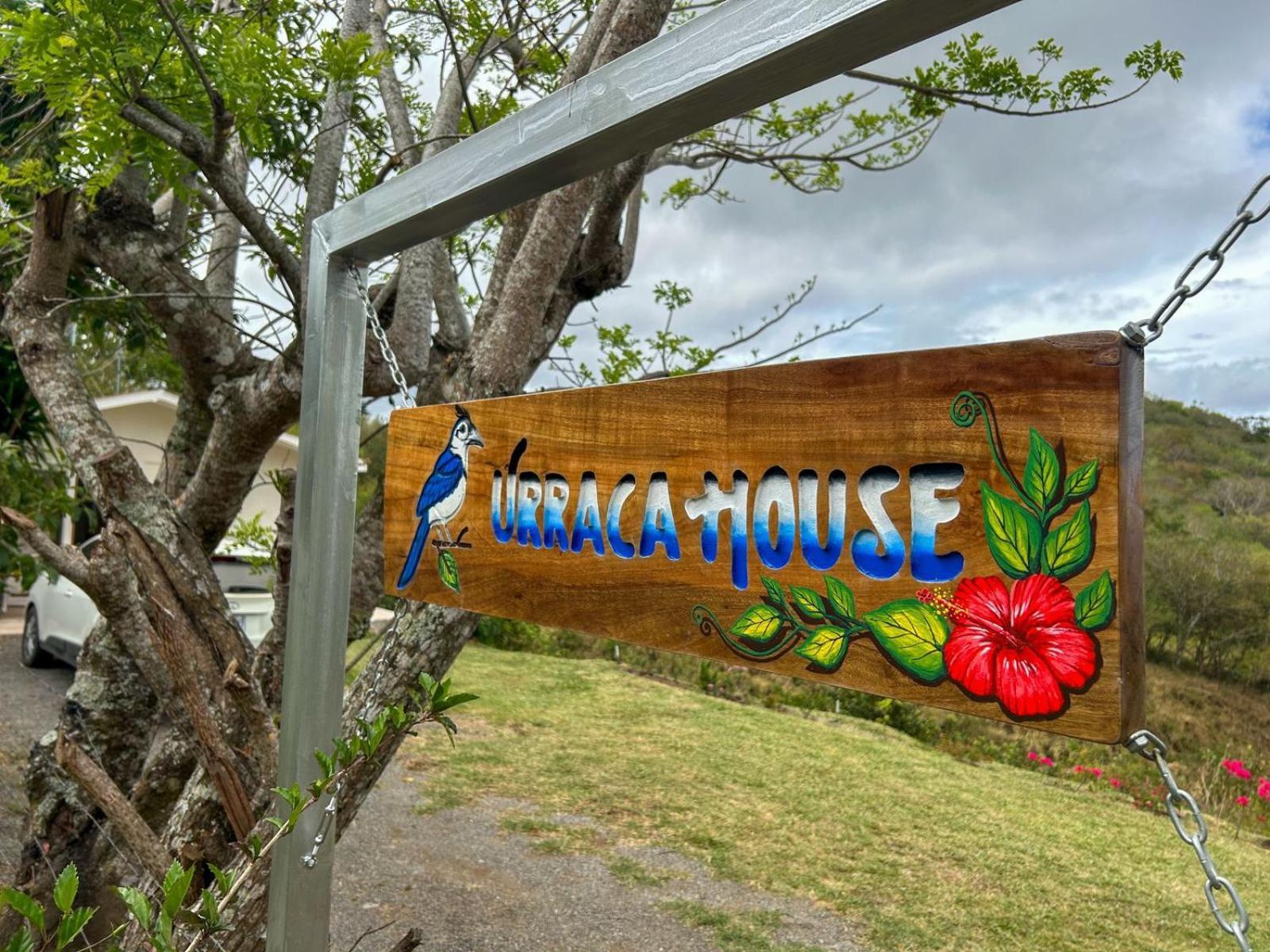 Vila Casa Urraca, Magnifica Vista Al Oceano Pacifico Monteverde Exteriér fotografie